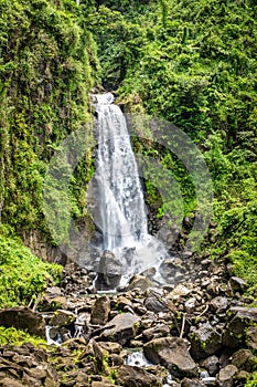 Trafalgar falls, famous waterfall in Dominica, Caribbean