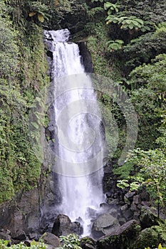 Trafalgar waterfall, Dominica