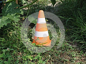 traffic cone sign