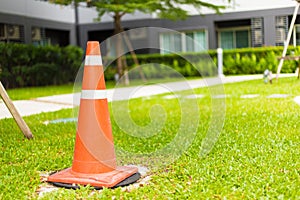 Traffic cones standing on the green grass