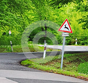 Traffic in forest road with deer roadsign