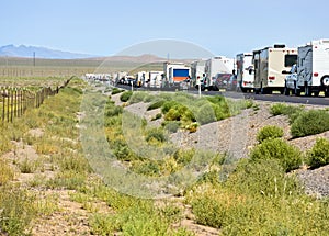 Traffic jam in the desert