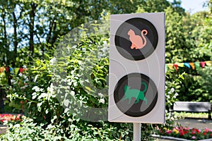 Traffic light with cats. Funny traffic light concept for children and parents in city garden. Green light on