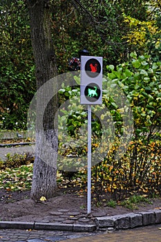 Traffic light for cats, tourist attraction in Zelenogradsk.