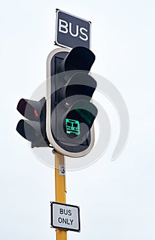 Traffic light, green and bus at street intersection for caution warning or safety, downtown or city. Sign, transport and