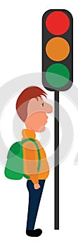 Traffic light, illustration, vector