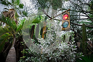 Traffic light in middle of forest.