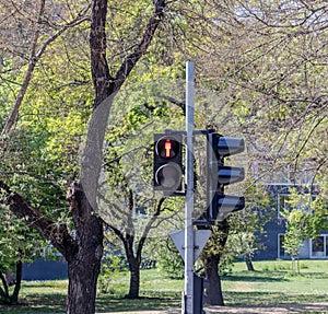 Traffic light for pedestrains on red light photo