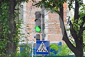 Traffic light and pedestrian crossing sign