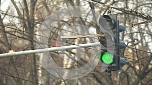 Traffic light on the road regulates traffic