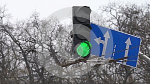 Traffic light on the road regulates traffic