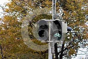 traffic lights with bike sign green light