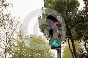 Traffic lights with green light on and trees in blurred background