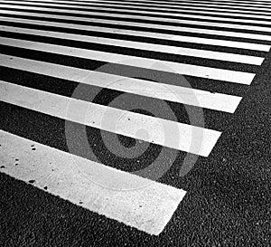 Traffic lines on asphalt