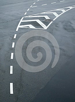 Traffic lines on asphalt