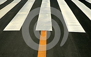 Traffic lines on asphalt