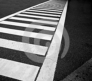 Traffic lines on asphalt