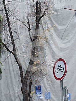 Traffic obstruction on the bicycle path