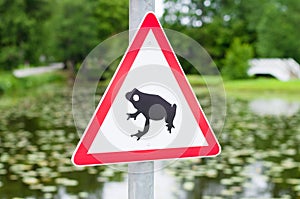Traffic sign attends for frog migration photo