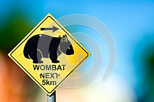 Traffic sign at the road side warns the drivers about wombat