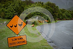 Traffic sign for Slow down duck crossing.