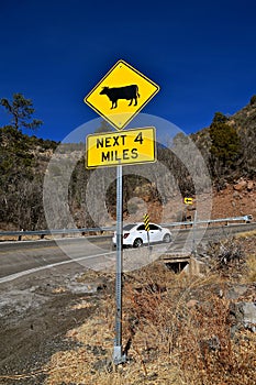 Traffic sign warning of cattle on the road