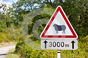 Traffic sign warning of sheep on the road