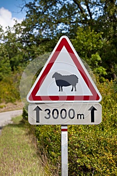 Traffic sign warning of sheep on the road