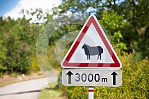 Traffic sign warning of sheep on the road