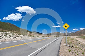 Traffic sign : Watch for VIcunas!!, Bolivia photo