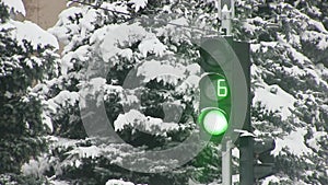 Traffic signal showing the green and red light is covered with snow