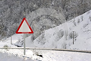Traffic signal in snow