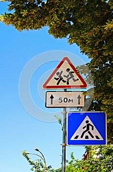 Traffic signs against green leaves linden tree at sunny morning. Warning Sign Children and Crosswalk sign black in blue square.