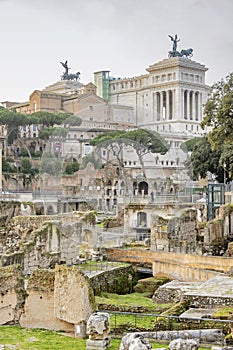 Traian Forum ruins in Rome