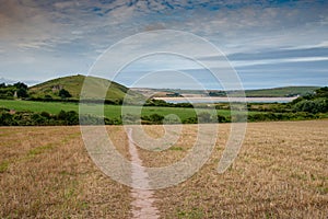 Trail across a field