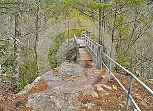 Trail Across The Top of Backbone Rock