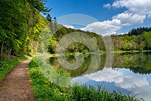 Trail along the littoral of holzmaar, eifel, germany photo