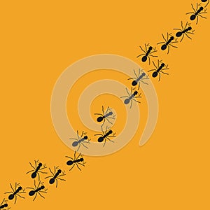 A trail of ants. Simple vector illustration on a white background
