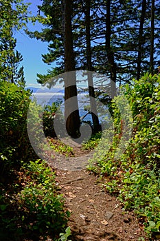 Trail around Iron Mine Bay, East Sooke Regional Park, BC