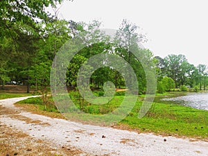 The Trail Around the Lake