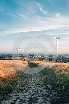 Trail at Ascot Hills Park, in Los Angeles, California photo