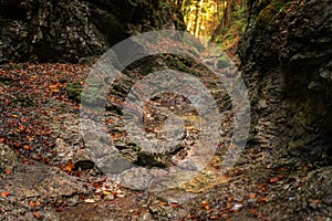 The trail through the beautiful canyon of the Slowacki Raj National Park