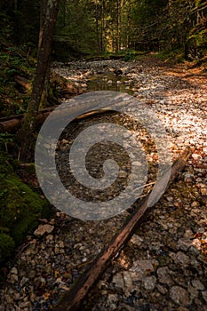 The trail through the beautiful canyon of the Slowacki Raj National Park