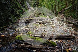 The trail through the beautiful canyon of the Slowacki Raj National Park