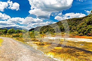 Trail in a beautiful colorful landscape of Waimangu Volcanic Valley park, Rotorua