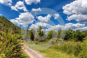 Trail in a beautiful green landscape of Waimangu Volcanic Valley park, New Zealand