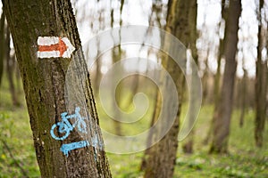 Trail and bicycle marker on tree at spring forest