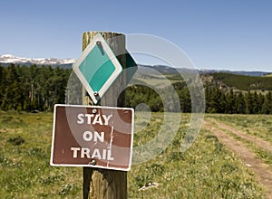 Trail in Big Horn Mountains