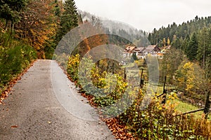 Trail in Black Forest in autumn around Mummelsee