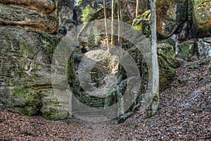 Trail in the Bohemian Paradise